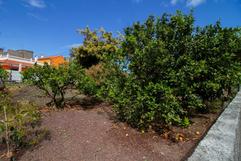 Casa Marjoes II + Communal Pool + Terrace + BBQ