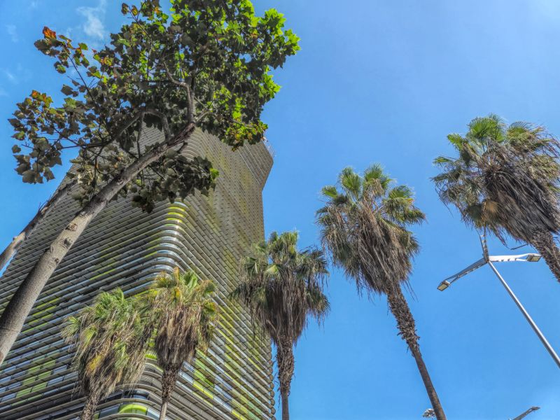 Yan Building 2A by CanariasGetaway