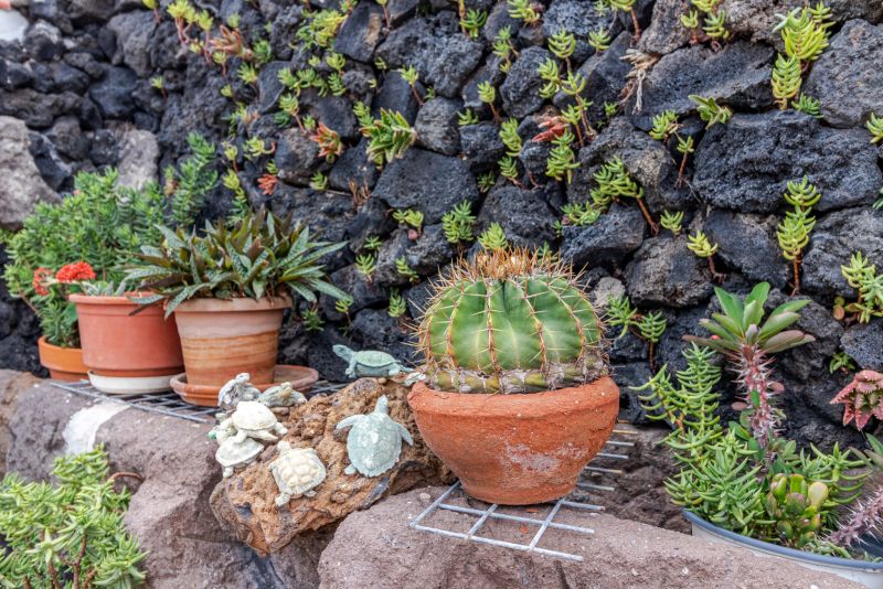 Mari House With Jacuzzi and BBQ by CanariasGetaway