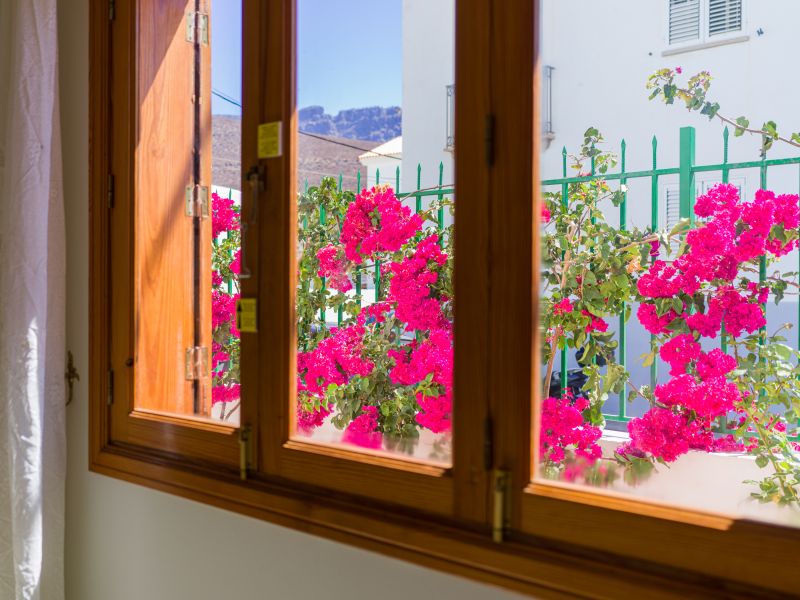 Agaete Pupe Home by Canariasgetaway