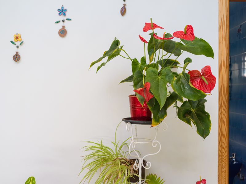 Agaete Pupe Home by Canariasgetaway