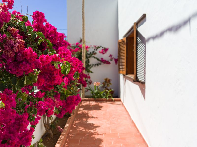 Agaete Pupe Home by Canariasgetaway