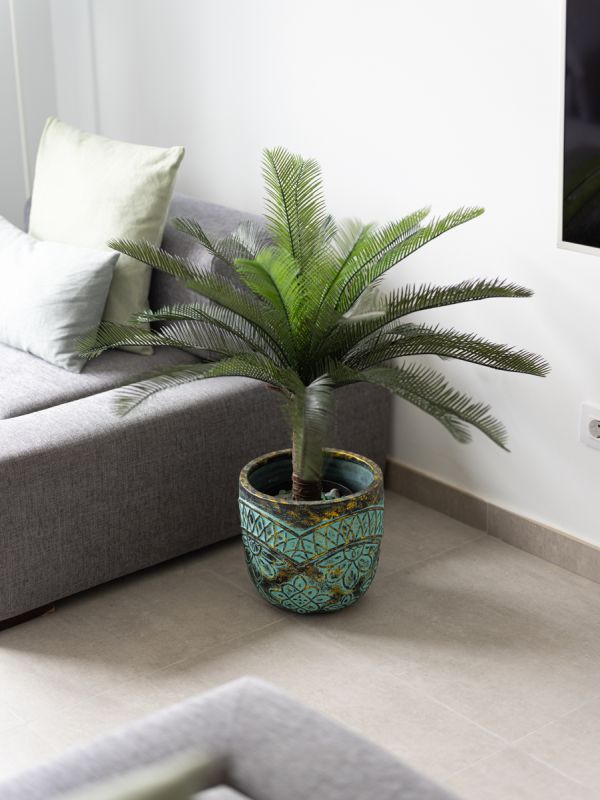 Leyre Mar Canteras by Canariasgetaway