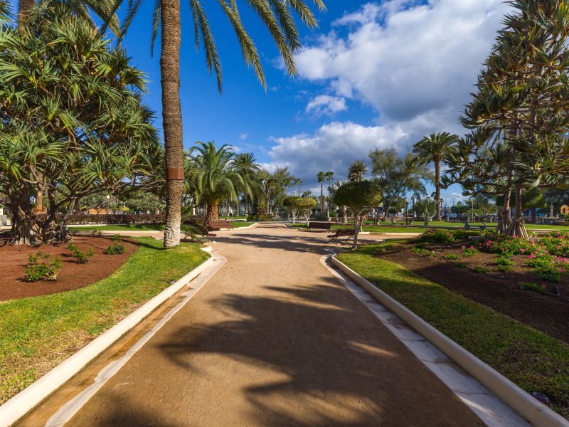 Cosmopolitan Design  By CanariasGetaway