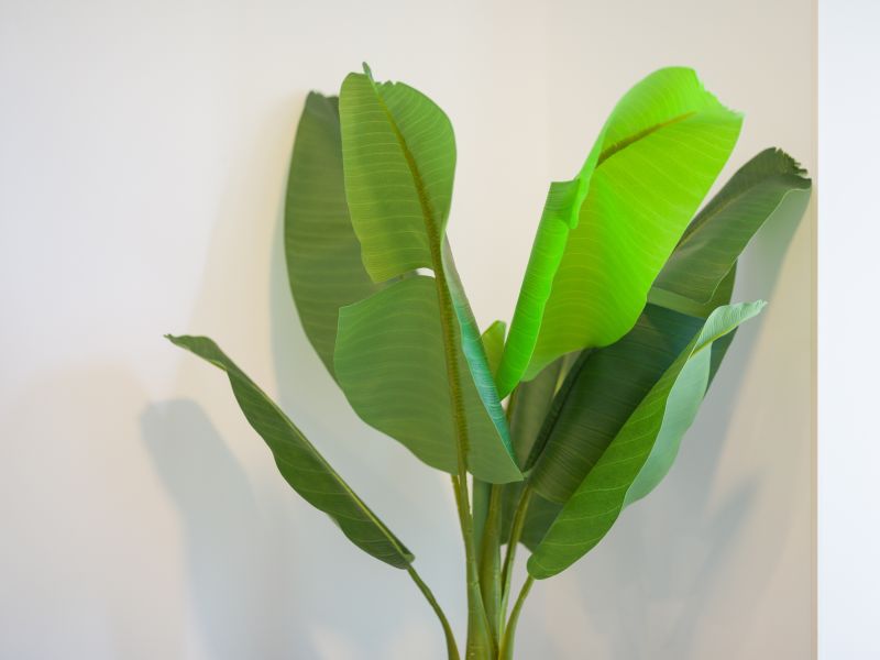 Castle of Light By CanariasGetaway