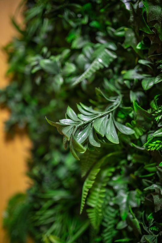 Bolivar cute home By CanariasGetaway