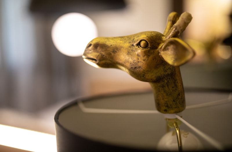 Bolivar cute home By CanariasGetaway