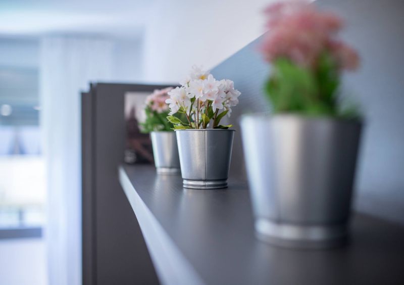 Ferreras Canteras Home By CanariasGetaway