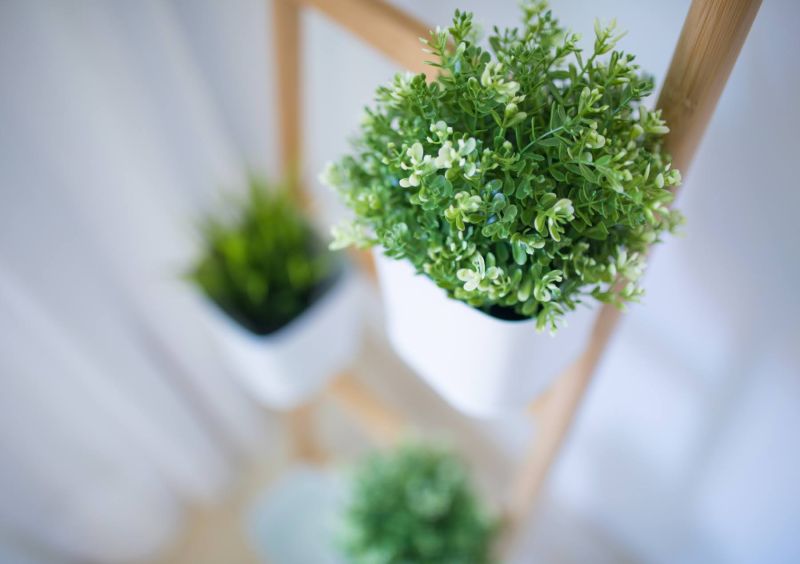 Ferreras Canteras Home By CanariasGetaway